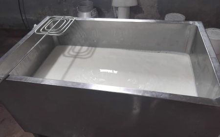 Cómo elaborar queso fresco paso a paso