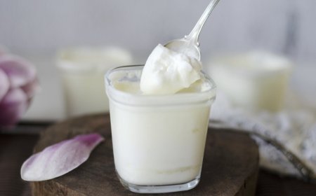 Cómo elaborar yogur natural: proceso, temperaturas y equipos