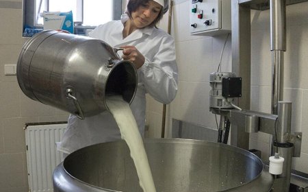 Cómo calcular el rendimiento de la leche para hacer queso