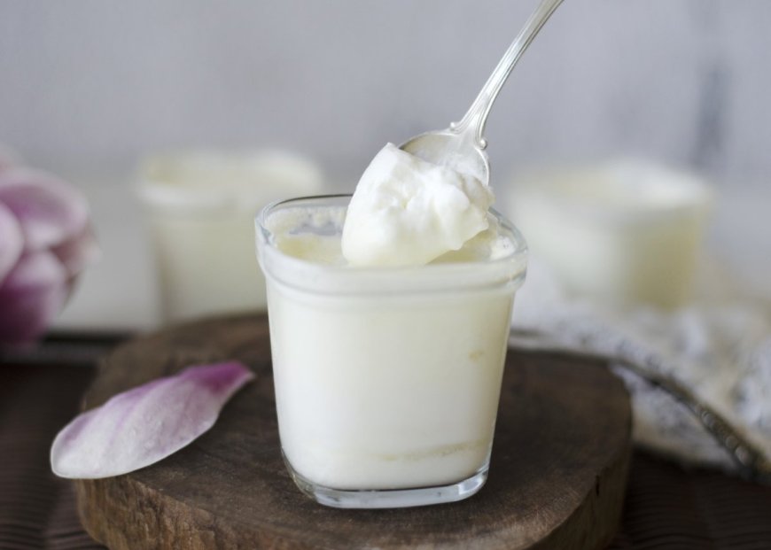 Cómo elaborar yogur natural: proceso, temperaturas y equipos