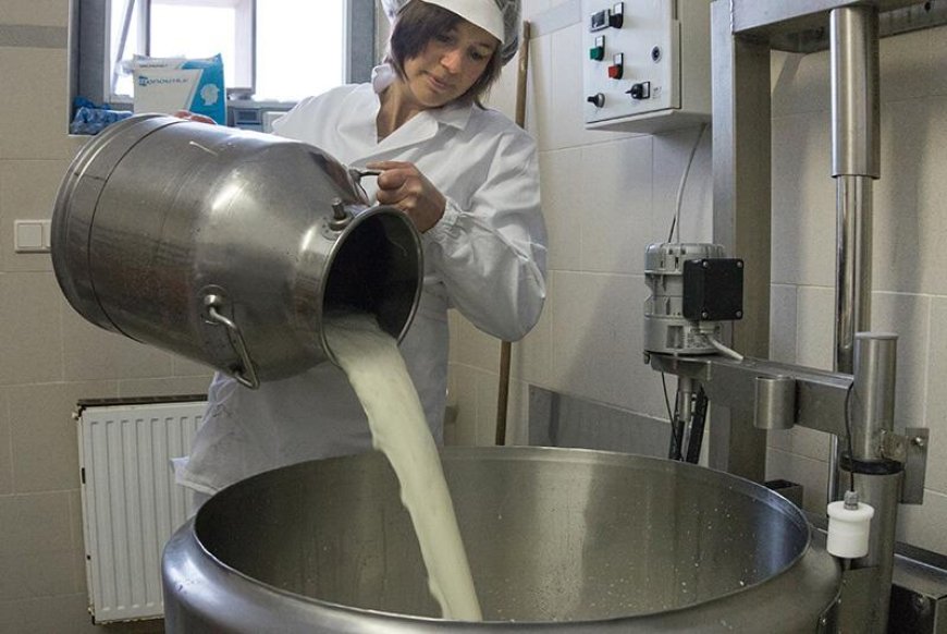 Cómo calcular el rendimiento de la leche para hacer queso