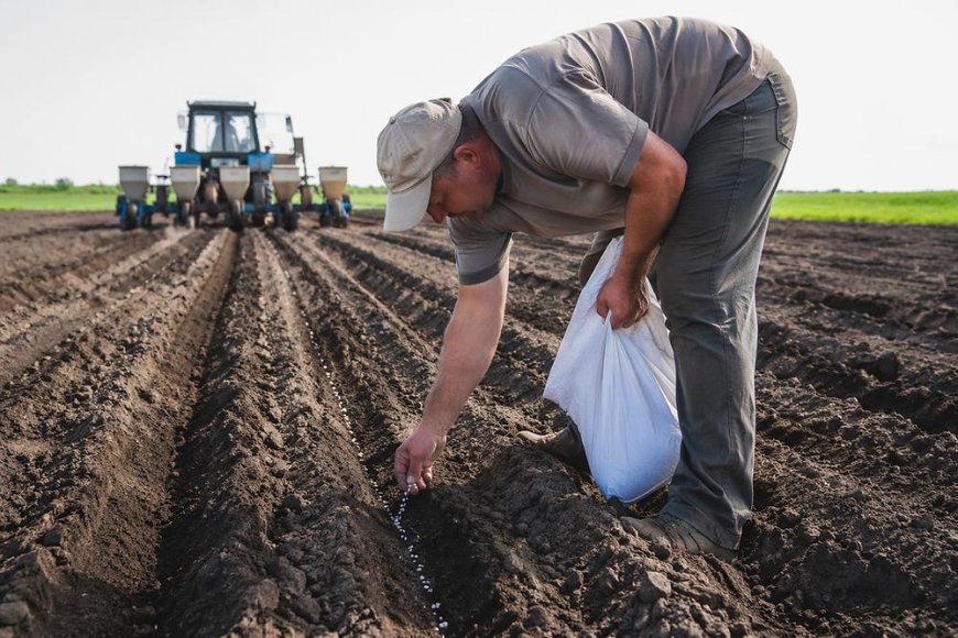 Cómo fertilizar los cultivos: tipos de fertilizantes y dosis